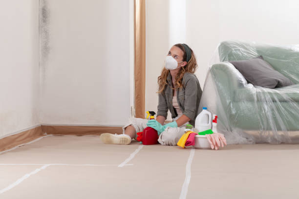 Reliable Mold Remediation contractor in Aurora, IL by WQB Mold Removal